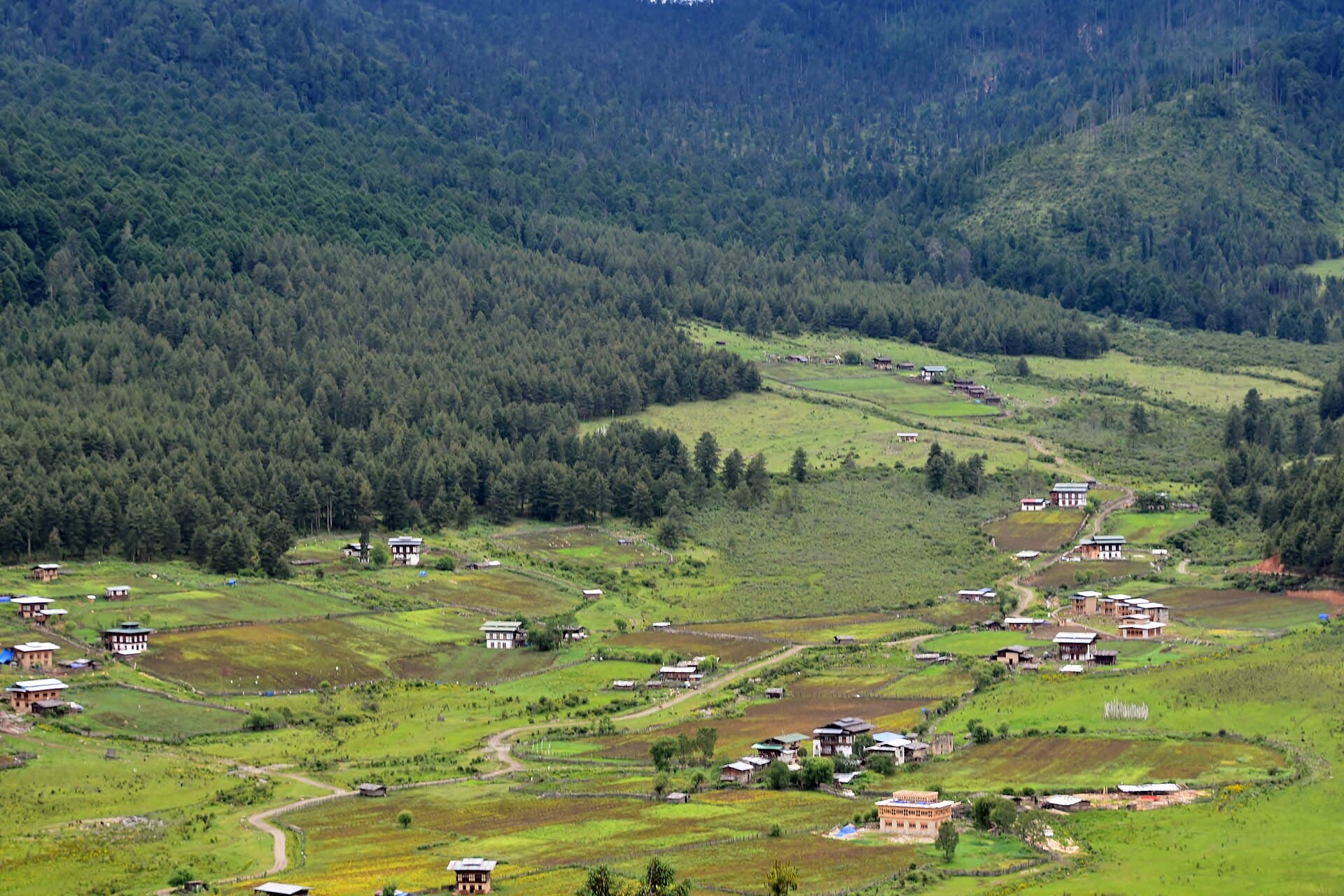 Return to Paro, Slowly
