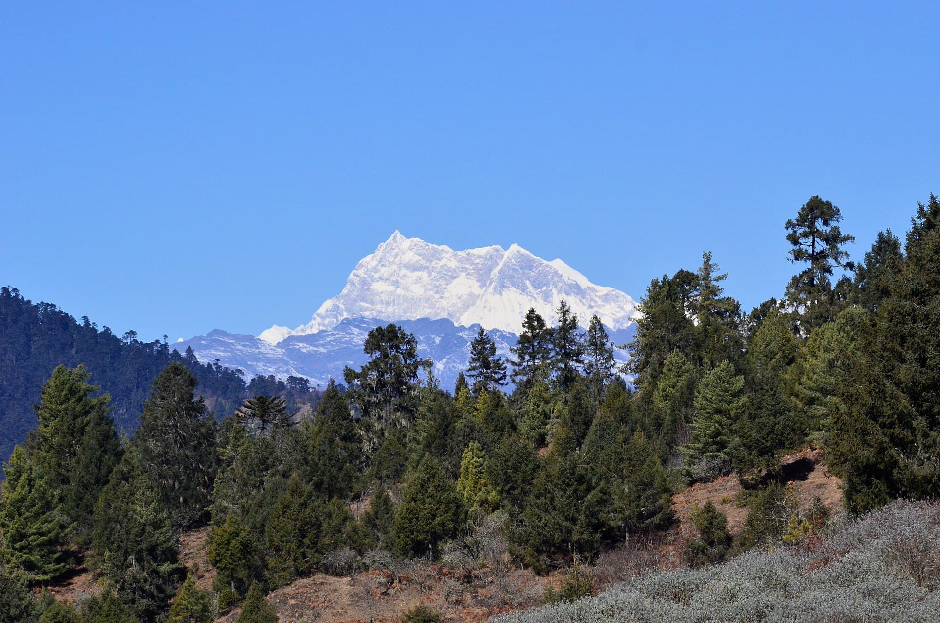 Phajoding & the Descent to Thimphu