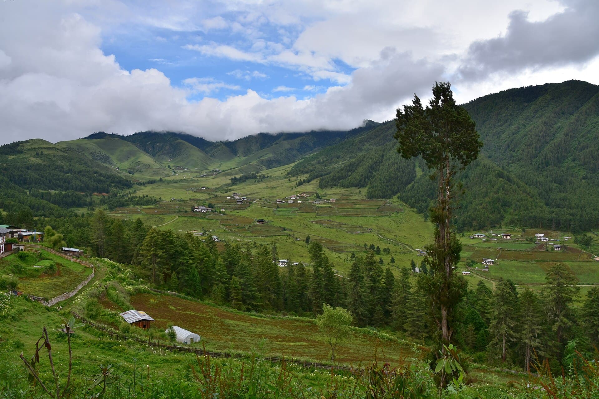 Phobjikha Valley